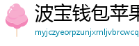 波宝钱包苹果版